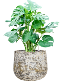 Ronde plantenbak 'Andes Cone' | Ø44 x H36 cm | Gemêleerd wit | Weerbestendig voor binnen en buiten