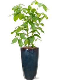 Keramiek plantenbak  'Alonzo' metaalblauw geglazuurd D36xH70 cm