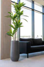 Ronde Fiberstone vaas  'Houston XL'  Ø101 x H50 cm | Kleur: Grey Stonelook