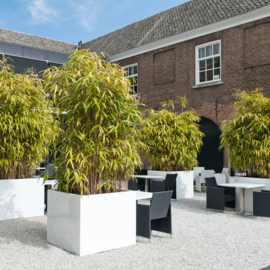 Hoogglans polyester plantenbak 'Cubo' 1100x1100x920mm