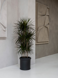 Romantische bloembak 'Belle Jardinière' Ø40 x H40 | kleur: Black