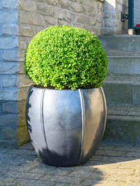 Keramiek plantenbak 'Felice' hoogglans antraciet lak  Ø43 x H43 cm
