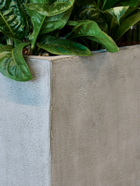 Fiberclay plantenbak 'Serenity' Recto | Kleur: Grey Brown |  L 44 x B 44 x H 44 cm