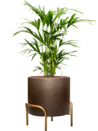 Kunststof plantenbak op poten 'Gambe' Ø 40 x H 43 cm | Coffee