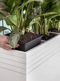 Design plantenbak 'Aston' L 48 x B 48 x H 48 cm (inclusief wielplateau en inzetbak)