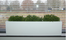 Rechthoekige Fiberstone plantenbak L80 x B20 x H20 cm. Kleur: Shiny White