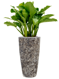 Keramiek plantenbak gemeleerd black lava Ø35 x H65 cm