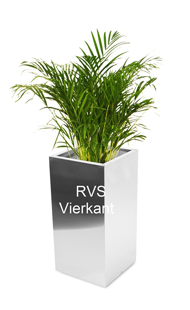 Haarzelf Egomania Promotie RVS (Roestvast staal) plantenbakken | grote plantenbak