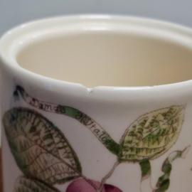 2 Potjes - Wedgwood Sarah’s Garden - Opbergen