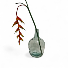 Flesvaas - Fles / Vaas - Groen / Blauw