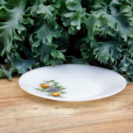 Arcopal Fruit de France - Bord - 23 cm