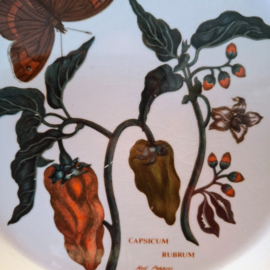 Bord Ø 22 cm – CAPSICUM RUBRUM red peppers  - The Botanic Garden