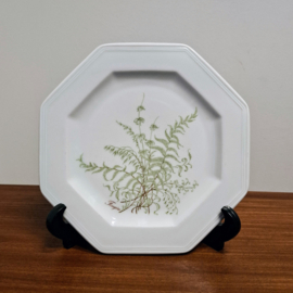 Vintage Villeroy & Boch - Sommerfarn - Bord