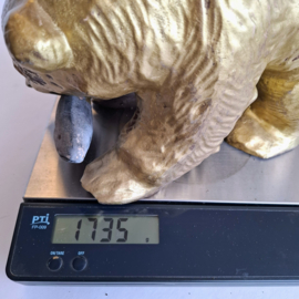 Goudkleurige Beer - Grizzly met gevangen vis