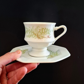 Vintage Villeroy & Boch Kop en schotel - Sommerfarn