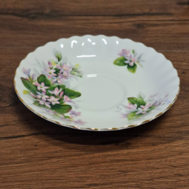 Royal Albert - Mayflower - Schotel Heren