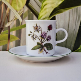 Kop en Schotel - Winterling - Bramen