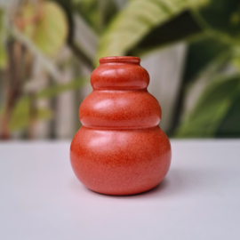 Klein Oranje Vaasje - Flora Gouda