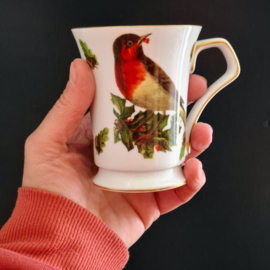 Meander BV Mok of Beker Roodborstje