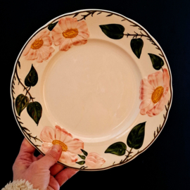 Groot Bord Ø 26 cm - Villeroy & Boch Wild Rose