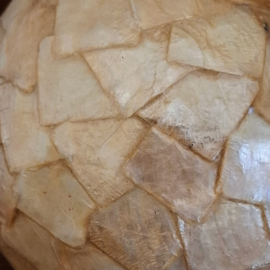 Decoratieve Bol met Parelmoer Look