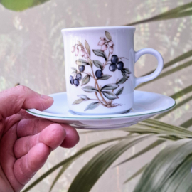 Kop en Schotel - Winterling - Bosbes