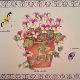Wedgwood Sarah's Garden - Onderzetter / Placemat