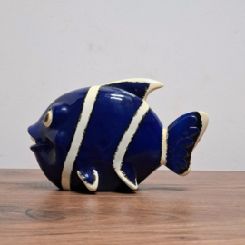 Vis Spaarpot Blauw / Wit