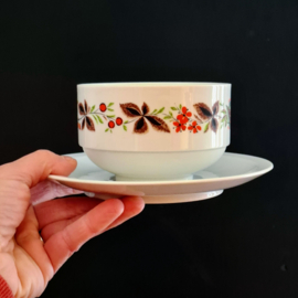 Soepkom met vast onderbord -  Bavaria Schumann Arzberg Germany