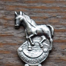 Theelepeltje - Dierenbescherming - Paard