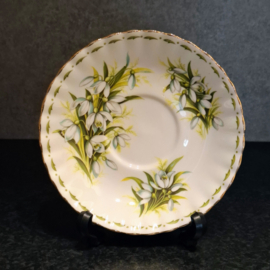 Royal Albert - Flower of the month Series - Snowdrops - Heren Schotel