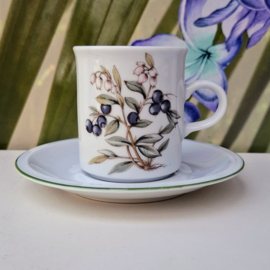 Kop en Schotel - Winterling - Bosbes