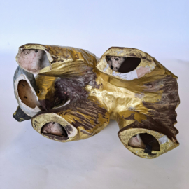 Goudkleurige Beer - Grizzly met gevangen vis