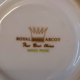 Royal Ascot - Moss Rose - Kop & Schotel