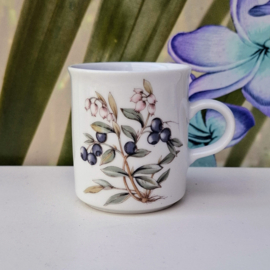 Kopje - Winterling - Bosbes