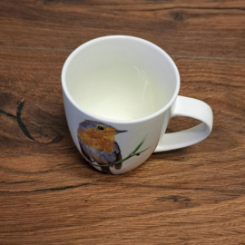 Kopje of Mok Roodborstje