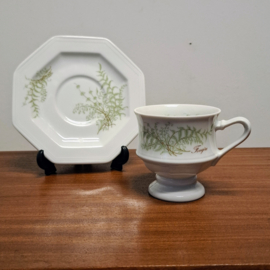 Vintage Villeroy & Boch Kop en schotel - Sommerfarn