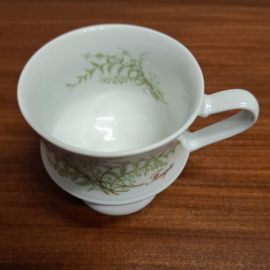 Vintage Villeroy & Boch Kop en schotel - Sommerfarn