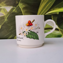 Mok - Villeroy & Boch - Koffiebloesem