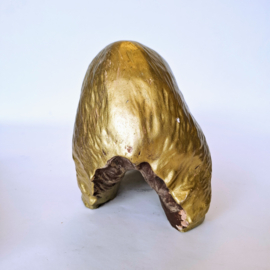 Goudkleurige Beer - Grizzly met gevangen vis