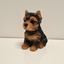 Beeldje van een Yorkshire Terrier-puppy
