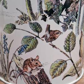 Blikje Bos – Herfst – Vogels