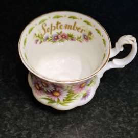 Royal Albert - Flower of the Month Series - September - Michaelmas Daisy - Kopje