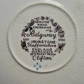 Vintage Kop en Schotel Ridgway “Clifton” Multicolour