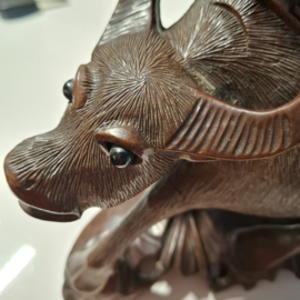 Houten Beeld - Sculptuur - Buffel