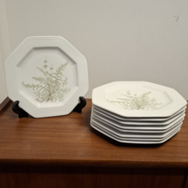 Vintage Villeroy & Boch - Sommerfarn - Bord