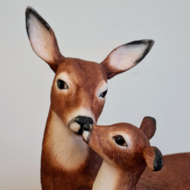 Tender Moment by Nicholas Wilson - The National Wildlife Federation - Beeld - Hert / Ree