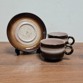 Vintage Kop en Schotel 2 Kopjes en 1 schotel