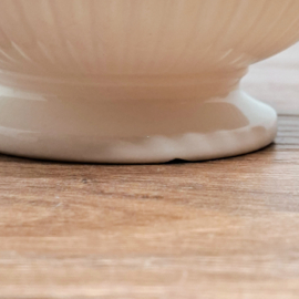 Wedgwood - Moss Rose - Suikerkom