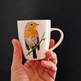 Kopje of Mok Roodborstje